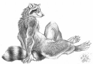 Rating: Explicit Score: 0 Tags: 1boy animal_genitalia animal_penis anthro blotch erection fur furry furry_only looking_at_viewer male male_only markings nude penis raccoon realistic rule34 smile solo User: bunchy7s Rating: Explicit Score: 0 Tags: 1boy animal_genitalia animal_penis anthro blotch erection fur furry furry_only looking_at_viewer male male_only markings nude penis raccoon realistic rule34 smile solo User: bunchy7s