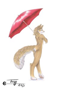 Rating: Safe Score: 0 Tags: 2013 anthro breasts brown_body brown_fur canid canine digitigrade e621 female fox fur mammal nude pawpads paws side_boob simple_background solo tail tassy_(artist) umbrella User: bunchy7s