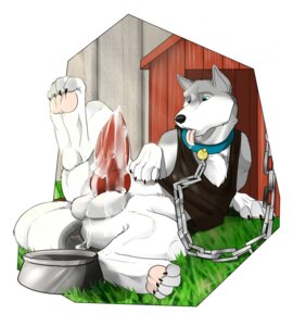 Rating: Explicit Score: 0 Tags: animal_genitalia animal_penis balls bdsm big_penis blue_eyes bodily_fluids bowl canid canine canine_genitalia canine_penis canis chain clothed clothed_feral clothing collar container cum cum_on_balls cum_on_penis doghouse domestic_dog e621 erection fasttrack37d feral foot_transformation fur genital_fluids genitals hi_res husky knot loss_of_self male mammal nordic_sled_dog orgasm_from_transformation pawpads penis pet_bowl petplay roleplay solo spitz story story_at_source story_in_description tail thong transformation transformative_collar underwear User: bunchy7s