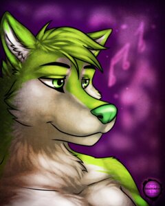 Rating: Safe Score: 0 Tags: 4:5 akita anthro canid canine canis dixievonfur domestic_dog e621 hi_res husky male mammal niic nordic_sled_dog solo spitz User: bunchy7s