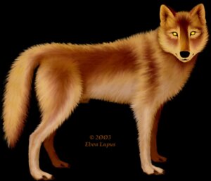 Rating: Explicit Score: 0 Tags: 2003 animal_genitalia artist_name barely_visible_genitalia barely_visible_sheath black_background brown_body brown_fur canid canine canis countershade_face countershade_torso countershading dated e621 ebon_lupus english_text feral fully_sheathed fur genitals looking_at_viewer male mammal no_pupils penis photorealism quadruped realistic realistic_feral sheath side_view simple_background solo standing tail tan_body tan_fur text wolf yellow_eyes User: bunchy7s Rating: Explicit Score: 0 Tags: 2003 animal_genitalia artist_name barely_visible_genitalia barely_visible_sheath black_background brown_body brown_fur canid canine canis countershade_face countershade_torso countershading dated e621 ebon_lupus english_text feral fully_sheathed fur genitals looking_at_viewer male mammal no_pupils penis photorealism quadruped realistic realistic_feral sheath side_view simple_background solo standing tail tan_body tan_fur text wolf yellow_eyes User: bunchy7s