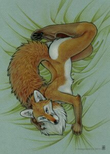 Rating: Safe Score: 0 Tags: anthro bedding bedding_background canid canine e621 feet female fox green_eyes hindpaw looking_at_viewer mammal nude paws pinup pose shinigamigirl shy solo tail tail_pillow User: bunchy7s Rating: Safe Score: 0 Tags: anthro bedding bedding_background canid canine e621 feet female fox green_eyes hindpaw looking_at_viewer mammal nude paws pinup pose shinigamigirl shy solo tail tail_pillow User: bunchy7s