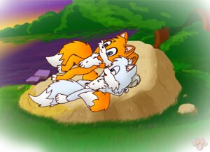 Rating: Explicit Score: 0 Tags: 2_tails anthro arctic_fox balls big_eyes big_head blue_eyes canid canine detailed_background dipstick_tail duo e621 flaccid forest fox fur genitals grass hands_behind_head looking_at_another lying male male/male mammal markings miles_prower multi_tail nude on_back orange_body orange_fur outside penis plant rock sega shota sky sonic_the_hedgehog_(series) sunset tail tail_markings toony tree true_fox twotails white_body white_fur wood young young_anthro User: bunchy7s