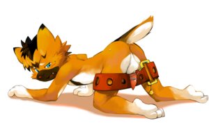 Rating: Explicit Score: 0 Tags: 3:2 anthro anus bdsm bell belt bondage bound canid canine canis collar countershading domestic_dog e621 erection genitals male mammal penis presenting solo string submissive submissive_male vu06 User: bunchy7s Rating: Explicit Score: 0 Tags: 3:2 anthro anus bdsm bell belt bondage bound canid canine canis collar countershading domestic_dog e621 erection genitals male mammal penis presenting solo string submissive submissive_male vu06 User: bunchy7s