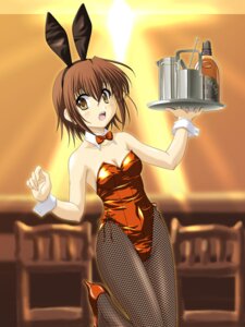 Rating: Explicit Score: 0 Tags: bunny_ear bunny_girl bunnysuit cosplay female fishnet_pantyhose fishnets kemonomimi mamoru_(sister_princess) masakichi_(crossroad) pantyhose rule34 sister_princess usamimi User: bunchy7s