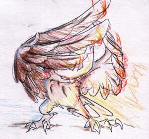 Rating: Safe Score: 0 Tags: ambiguous_gender avian beak bird claws e621 feathered_wings feathers feral fire generation_2_pokemon night_owl nintendo noctowl pokemon pokemon_(species) sketch solo wings User: bunchy7s