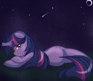 Rating: Questionable Score: 0 Tags: bamboodog blush butt cool_colors cutie_mark e621 equid equine female feral friendship_is_magic fur grass hair hasbro horn looking_at_viewer lying mammal multicolored_hair my_little_pony mythological_creature mythological_equine mythology night on_side plant purple_body purple_fur purple_hair quadruped shooting_star sky solo star starry_sky tail twilight_sparkle_(mlp) two_tone_hair unicorn User: bunchy7s