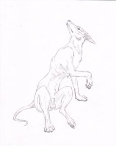 Rating: Explicit Score: 0 Tags: animal_genitalia balls black_and_white canid canine canis claws domestic_dog e621 feet feral fully_sheathed genitals hindpaw male mammal monochrome nude paws semiotica sheath solo tail User: bunchy7s Rating: Explicit Score: 0 Tags: animal_genitalia balls black_and_white canid canine canis claws domestic_dog e621 feet feral fully_sheathed genitals hindpaw male mammal monochrome nude paws semiotica sheath solo tail User: bunchy7s