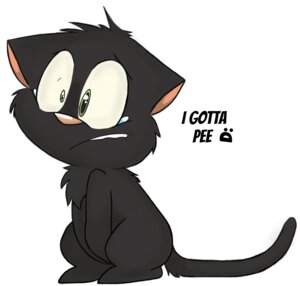Rating: Safe Score: 0 Tags: ambiguous_gender avoid_posting black_body black_fur bodily_fluids crying d: domestic_cat e621 english_text felid feline felis fur green_eyes holding_crotch kipp_(kippykat) kippykat mammal omorashi simple_background solo tail tears text white_background User: bunchy7s