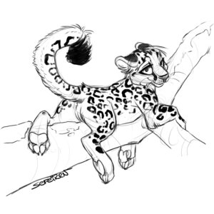 Rating: Explicit Score: 0 Tags: 1:1 4_toes anus branch butt claws conditional_dnp e621 feet felid female feral fur genitals hindpaw in_tree leopard leopard_spots lounging mammal monochrome moss on_branch pantherine pawpads paws plant raised_tail relaxing sefeiren simple_background snow_leopard soles solo spots tail toes tree vulva whiskers white_background wood User: bunchy7s