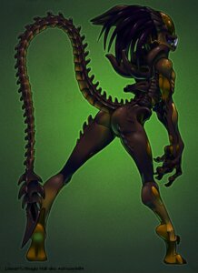 Rating: Questionable Score: 0 Tags: 2010 alien alien_(franchise) alien_humanoid alien_vs._predator_(franchise) astrozerk butt e621 english_text eyeless fan_character female hi_res humanoid hybrid long_legs mandibles precious_(astrozerk) predalien predator_(franchise) solo tail text xenomorph yautja User: bunchy7s