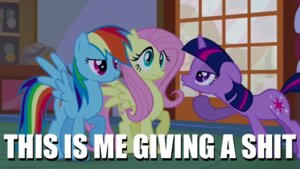 Rating: Safe Score: 0 Tags: blue_body blue_feathers blue_fur cutie_mark e621 english_text equid equine eye_contact feathered_wings feathers female feral fluttershy_(mlp) friendship_is_magic fur grandfathered_content group hair hasbro horn horse image_macro impact_(font) inside long_hair looking_at_another mammal meme multicolored_hair multicolored_tail my_little_pony mythological_creature mythological_equine mythology pegasus pink_hair pony profanity purple_body purple_eyes purple_fur purple_hair rainbow_dash_(mlp) rainbow_hair rainbow_tail reaction_image screencap short_hair tail teal_eyes text twilight_sparkle_(mlp) two_tone_hair unicorn unknown_artist wings yellow_body yellow_feathers yellow_fur User: bunchy7s