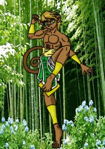 Rating: Safe Score: 0 Tags: anthro athletic athletic_male clothed clothing dragonpen e621 grandfathered_content haplorhine kung_fu male mammal monkey muscular muscular_male primate solo tail topless User: bunchy7s