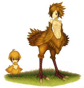 Rating: Explicit Score: 0 Tags: chibi chicobo chocobo feathers female final_fantasy harpy monster_girl nipples pointy_ears rule34 task_(artist) User: bunchy7s