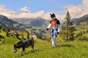 Rating: Safe Score: 0 Tags: alaskan_malamute anthro arex_(tigersclawswiss) canid canine canis clothing cloud costume detailed_background domestic_dog domestic_pet e621 feral floral flower flower_garland furries_with_pets fursuit garland grandfathered_content group husky leash lei male mammal mountain nature nordic_sled_dog outside plant real scenery sky spitz switzerland tree unknown_artist wood User: bunchy7s