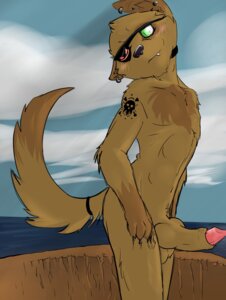 Rating: Explicit Score: 0 Tags: 2010 4_fingers >:) animal_genitalia animal_penis anthro balls biped black_nose blush brown_body brown_fur canid canine canine_genitalia canine_penis canis claws cloud collar cute_fangs detached_sheath detailed_background dipstick_tail e621 ear_piercing erection eye_patch eyewear fangs fingers fully_erect_inside_sheath fur fur_markings genitals gloves_(marking) green_eyes head_tilt hi_res knot knot_in_sheath male mammal markings multicolored_body multicolored_fur multicolored_tail navel nude penis penis_tip piercing pirate pose presenting pupils scratch sheath sky slit_pupils smile solo standing syynx tail tail_markings tan_body tan_fur tattoo teeth two_tone_body two_tone_fur water wolf User: bunchy7s