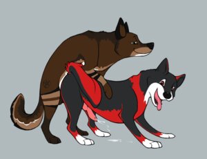 Rating: Explicit Score: 0 Tags: anal anal_penetration canid canine canis domestic_dog duo e621 erection feral feral_on_feral fyrien fyriwolf666 genitals male male/male male_penetrated male_penetrating male_penetrating_male mammal penetration penis sex tail User: bunchy7s