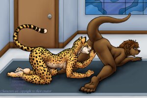Rating: Explicit Score: 0 Tags: 2010 all_fours amber_eyes anthro anus ass_up breasts brown_hair butt cheetah claws cunnilingus curiodraco duo e621 feet felid feline female female/female fingering fur green_eyes hair hindpaw licking lying mammal markings mustelid nude on_front oral otter paws penetration raised_tail sex side_boob spots spotted_body spotted_fur tail toe_claws tongue tongue_out vaginal vaginal_fingering vaginal_penetration User: bunchy7s Rating: Explicit Score: 0 Tags: 2010 all_fours amber_eyes anthro anus ass_up breasts brown_hair butt cheetah claws cunnilingus curiodraco duo e621 feet felid feline female female/female fingering fur green_eyes hair hindpaw licking lying mammal markings mustelid nude on_front oral otter paws penetration raised_tail sex side_boob spots spotted_body spotted_fur tail toe_claws tongue tongue_out vaginal vaginal_fingering vaginal_penetration User: bunchy7s