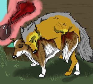 Rating: Explicit Score: 0 Tags: barn bodily_fluids border_collie canid canine canis collie cum cum_in_uterus cum_inside domestic_dog duo e621 erection female feral feral_on_feral genital_fluids genitals herding_dog hughug internal knot kooskia male male/female mammal nude pastoral_dog penis sex sheepdog uterus wolf User: bunchy7s
