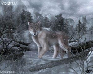 Rating: Safe Score: 0 Tags: 2009 5:4 amber_eyes ambiguous_gender black_nose canid canine canis cloud cool_colors digitigrade e621 feral forest fur grass grey_body grey_fur hi_res looking_at_viewer mammal mountain mountain_range multicolored_body multicolored_fur nordic northwestern_wolf outside overcast plant quadruped rundiavar selker selker_ari signature sky snow snowflake snowing snowscape solo tail tree white_body white_fur winter wolf wood User: bunchy7s