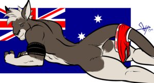 Rating: Questionable Score: 0 Tags: 2014 anthro australian_flag bgn biceps big_muscles biped butt clothing digital_media_(artwork) e621 flag kangaroo lying macropod male mammal marsupial muscular muscular_anthro muscular_male on_front side_view solo sydney_o'connell tattoo underwear User: bunchy7s