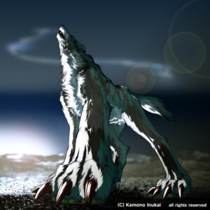 Rating: Safe Score: 0 Tags: 1:1 canid canine canis claws e621 feral howl kemono_inukai lens_flare low-angle_view male mammal outside perspective solo tail wolf User: bunchy7s