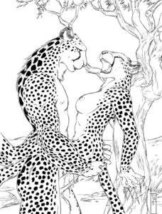 Rating: Explicit Score: 0 Tags: anthro anthro_on_anthro balls big_balls black_and_white bodily_fluids breasts cheetah cum cum_inside duo e621 erection fangs felid feline female genital_fluids genitals intraspecies jasiri jonas-pride khisa male male/female mammal monochrome muscular nature nipples nude open_mouth outside penis plant sex side_view spots tail teeth tongue tree vaginal User: bunchy7s
