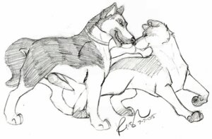 Rating: Explicit Score: 0 Tags: canine feral german_shepherd ginga_(series) ginga_nagareboshi_gin john_(ginga) knot male male_only penis rule34 User: bunchy7s