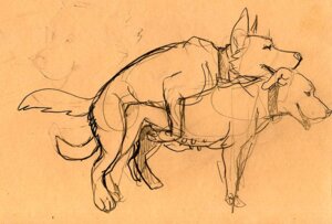 Rating: Explicit Score: 0 Tags: all_fours canid canine canis doggystyle domestic_dog duo e621 female female_penetrated feral feral_on_feral from_behind_position java male male/female male_penetrating male_penetrating_female mammal monochrome penetration penile penile_penetration penis_in_vagina quadruped sepia sex sketch tail teats vaginal vaginal_penetration User: bunchy7s Rating: Explicit Score: 0 Tags: all_fours canid canine canis doggystyle domestic_dog duo e621 female female_penetrated feral feral_on_feral from_behind_position java male male/female male_penetrating male_penetrating_female mammal monochrome penetration penile penile_penetration penis_in_vagina quadruped sepia sex sketch tail teats vaginal vaginal_penetration User: bunchy7s