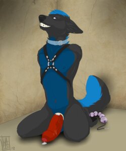 Rating: Explicit Score: 0 Tags: 5:6 absurd_res accessory anal_beads anthro bdsm big_penis biped black_body black_fur black_nose blue_body blue_eyes blue_fur blue_hair bodily_fluids bondage bound canid canine cock_ring collar e621 ear_piercing erection fangs foreskin fur genital_fluids genitals grin hair harness hi_res humanoid_genitalia humanoid_penis jewelry kneeling leather looking_at_viewer male mammal navel penis penis_accessory penis_jewelry piercing precum sex_toy smile solo submissive submissive_male tail teeth themutt User: bunchy7s