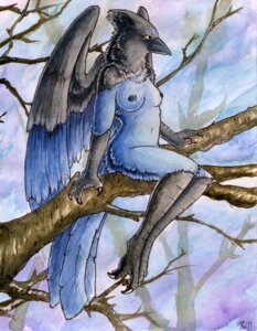 Rating: Questionable Score: 0 Tags: 2011 anthro areola avian beak bird black_body black_feathers blue_body blue_feathers breasts casual_nudity corvid e621 feathered_wings feathers female jay_(bird) navel new_world_jay nipples non-mammal_breasts non-mammal_nipples nude oscine outside passerine plant ruaidri solo steller's_jay tree wings wood User: bunchy7s Rating: Questionable Score: 0 Tags: 2011 anthro areola avian beak bird black_body black_feathers blue_body blue_feathers breasts casual_nudity corvid e621 feathered_wings feathers female jay_(bird) navel new_world_jay nipples non-mammal_breasts non-mammal_nipples nude oscine outside passerine plant ruaidri solo steller's_jay tree wings wood User: bunchy7s