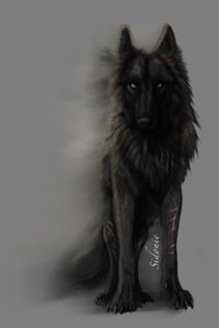 Rating: Safe Score: 0 Tags: 2:3 alpha_channel ambiguous_gender black_body black_fur blue_eyes canid canine canis claws digitigrade e621 feral fur grey_eyes hi_res looking_at_viewer mammal quadruped scar shadow sidonie simple_background solo standing tail transparent_background wolf User: bunchy7s Rating: Safe Score: 0 Tags: 2:3 alpha_channel ambiguous_gender black_body black_fur blue_eyes canid canine canis claws digitigrade e621 feral fur grey_eyes hi_res looking_at_viewer mammal quadruped scar shadow sidonie simple_background solo standing tail transparent_background wolf User: bunchy7s