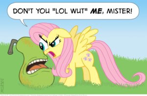 Rating: Safe Score: 0 Tags: 2011 biting_pear_of_salamanca cutie_mark detailed_background dialogue duo e621 elemental_creature english_text equid equine feathered_wings feathers female feral flora_fauna fluttershy_(mlp) food food_creature friendship_is_magic fruit hasbro kinkyturtle living_fruit lol_wut low_res mammal my_little_pony mythological_creature mythological_equine mythology pear pegasus plant quadruped reaction_image stare tail text the_stare toony wings yellow_body yellow_feathers User: bunchy7s