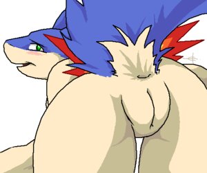 Rating: Explicit Score: 0 Tags: anthro anthrofied anus ass back_view bent_over blush color edgarcorona female female_only fur furry furry_ass furry_tail green_eyes looking_back mouth mustelid nintendo no_humans open_eyes pokemon pokemon_(species) pussy rule34 smooth_skin solo tail typhlosion vulva User: bunchy7s