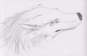 Rating: Safe Score: 0 Tags: ambiguous_gender black_and_white black_nose canid canine e621 feral looking_away mammal monochrome pencil_(object) semiotica solo User: bunchy7s