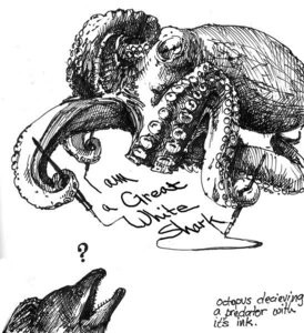 Rating: Safe Score: 0 Tags: ambiguous_feral ambiguous_gender aquatic cephalopod coleoid confusion duo e621 eel english_text feral fish greyscale humor ink_(disambiguation) mantle_(mollusk) mollusk monochrome moray_eel octopodiform octopus pen question_mark simple_background text theweaselking what white_background User: bunchy7s Rating: Safe Score: 0 Tags: ambiguous_feral ambiguous_gender aquatic cephalopod coleoid confusion duo e621 eel english_text feral fish greyscale humor ink_(disambiguation) mantle_(mollusk) mollusk monochrome moray_eel octopodiform octopus pen question_mark simple_background text theweaselking what white_background User: bunchy7s
