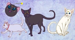 Rating: Safe Score: 0 Tags: artemis_(sailor_moon) diana_(sailor_moon) digitigrade domestic_cat e621 father_(lore) felid feline felis female feral group luna_(sailor_moon) male mammal mother_(lore) parent_(lore) quadruped sailor_moon_(series) simple_background soulspoison tail User: bunchy7s