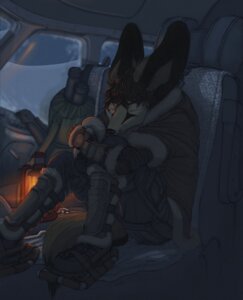 Rating: Safe Score: 0 Tags: aircraft airplane anthro backpack biped canid canine cape_fox clothing coat cockpit e621 eyes_closed fighterjet fox glowing inside inside_airplane lamp lantern lux_(character) male mammal nuclear_winter post-apocalyptic sitting snow snowshoes solo tail topwear true_fox vehicle winter User: bunchy7s