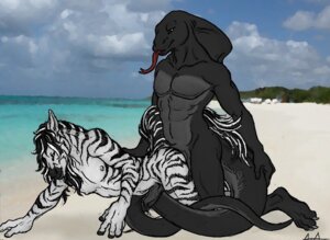 Rating: Explicit Score: 0 Tags: 2010 4_toes 5_fingers abs all_fours anal anal_penetration anthro anthro_on_anthro barefoot beach biped black_body black_fur black_hair black_penis black_scales black_stripes black_tail blue_sky bodily_fluids claws cloud cobbie cobra cum cum_inside detailed_background digital_media_(artwork) doggystyle duo e621 equid equine erection feet fingers forked_tongue from_behind_position fur genital_fluids genitals grey_body grey_claws grey_scales grey_tail hair hooved_fingers hooves humanoid_genitalia humanoid_penis interspecies long_hair long_tongue male male/male male_penetrated male_penetrating male_penetrating_male mammal multicolored_body multicolored_fur multicolored_hair multicolored_scales multicolored_tail muscular muscular_male nipples nude nude_beach outside pecs penetration penis pink_tongue reptile romantic romantic_couple rukis scales scalie sea seaside sex sex_on_the_beach side_view signature sky snake snake_hood snout striped_body striped_fur stripes stripes_(character) tail toe_claws toes tongue tongue_out two_tone_body two_tone_fur two_tone_hair two_tone_scales two_tone_tail voju water white_body white_fur white_hair white_nipples white_tail zebra User: bunchy7s