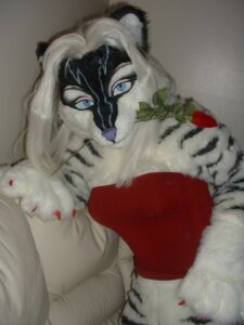 Rating: Questionable Score: 0 Tags: 3:4 anthro blue_eyes clothed clothing cosplay costume e621 felid female flower flower_in_mouth fursuit grandfathered_content hair mammal pantherine photography_(artwork) plant real romantic romantic_ambiance rose_(flower) rose_in_mouth skimpy solo unknown_artist zig_zag User: bunchy7s Rating: Questionable Score: 0 Tags: 3:4 anthro blue_eyes clothed clothing cosplay costume e621 felid female flower flower_in_mouth fursuit grandfathered_content hair mammal pantherine photography_(artwork) plant real romantic romantic_ambiance rose_(flower) rose_in_mouth skimpy solo unknown_artist zig_zag User: bunchy7s