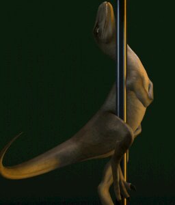 Rating: Questionable Score: 0 Tags: 3d_(artwork) 3d_animation ambiguous_gender animated animated_gif black_background dancing digital_media_(artwork) dinosaur dromaeosaurid e621 feral loop low_res pole pole_dancing prehistoric_species rayverak reptile rubbing saurischian scalie short_playtime simple_background solo tail tailbutt theropod velociraptor what yellow_eyes User: bunchy7s Rating: Questionable Score: 0 Tags: 3d_(artwork) 3d_animation ambiguous_gender animated animated_gif black_background dancing digital_media_(artwork) dinosaur dromaeosaurid e621 feral loop low_res pole pole_dancing prehistoric_species rayverak reptile rubbing saurischian scalie short_playtime simple_background solo tail tailbutt theropod velociraptor what yellow_eyes User: bunchy7s