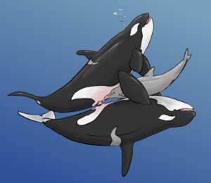Rating: Explicit Score: 0 Tags: 2008 anatomically_correct anatomically_correct_genitalia anatomically_correct_penis anatomically_correct_vulva animal_genitalia animal_penis animal_vulva aquatic cetacean cetacean_genitalia cetacean_penis cetacean_vulva dolorcin dolphin e621 erection fellatio female feral fully/fully_submerged fully_submerged genital_slit genitals group group_sex herm herm/female herm/male herm_feral herm_penetrating intersex intersex/female intersex/male intersex_feral intersex_penetrating male male_penetrating maleherm mammal oceanic_dolphin oral oral_penetration orca penetration penile penis sea sex sex_in_water tapering_penis threesome toothed_whale trio underwater underwater_sex vaginal vaginal_penetration vulva water User: bunchy7s
