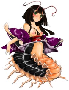 Rating: Explicit Score: 0 Tags: animal_humanoid arthropod arthropod_humanoid blush breasts centipede dom_(artist) e621 female genitals green_eyes humanoid insect insect_humanoid monster monster_girl_(genre) myriapod nipples solo vulva User: bunchy7s