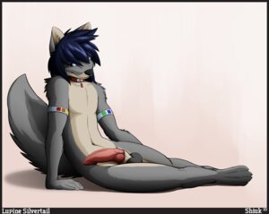 Rating: Explicit Score: 0 Tags: animal_genitalia anthro balls biped canid canine collar e621 erection genitals hair looking_at_viewer male mammal nude penis pose sheath shiuk solo tail User: bunchy7s