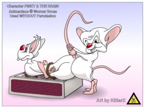 Rating: Explicit Score: 0 Tags: animaniacs bound color furry furry_only male male_only mouse multiple_males nude pinky pinky_and_the_brain raised_tail red_nose rule34 sex side_view tagme tail tail_grab the_brain white_fur yaoi User: bunchy7s Rating: Explicit Score: 0 Tags: animaniacs bound color furry furry_only male male_only mouse multiple_males nude pinky pinky_and_the_brain raised_tail red_nose rule34 sex side_view tagme tail tail_grab the_brain white_fur yaoi User: bunchy7s