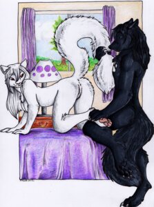 Rating: Explicit Score: 0 Tags: 2012 all_fours anthro anus balu_blackcat bed black_body black_fur black_hair blue_eyes breasts canid canine canis domestic_cat duo e621 felid feline felis female foxene fur furniture genitals hair interspecies inviting looking_back male male/female mammal nikki_blackcat nude presenting raised_tail red_eyes tail traditional_media_(artwork) vulva whiskers white_body white_fur white_hair wolf User: bunchy7s