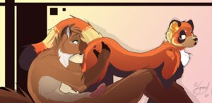 Rating: Explicit Score: 0 Tags: 2011 ailurid anthro breasts cunnilingus duo e621 erection female fischer_(theredhare) from_behind_position genitals jayboppity looking_back lycangel male male/female mammal nude oral penis red_panda sex side_boob tail vaginal User: bunchy7s
