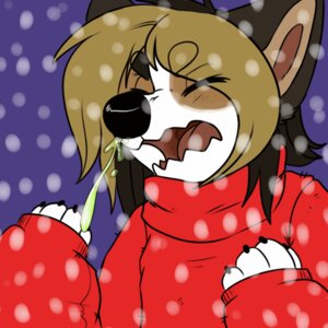 Rating: Safe Score: 0 Tags: 1:1 animated animated_gif black_nose canid canine canis domestic_dog e621 female mammal outside short_playtime sneeze snow snowing solo tesxacoyote User: bunchy7s Rating: Safe Score: 0 Tags: 1:1 animated animated_gif black_nose canid canine canis domestic_dog e621 female mammal outside short_playtime sneeze snow snowing solo tesxacoyote User: bunchy7s
