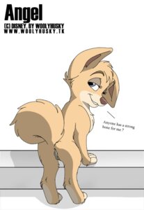 Rating: Explicit Score: 0 Tags: angel_(lady_and_the_tramp) canid canine canis disney domestic_dog e621 female feral genitals lady_and_the_tramp mammal mixed_breed pomsky simple_background solo tail vulva white_background woolyhusky young young_female young_feral User: bunchy7s Rating: Explicit Score: 0 Tags: angel_(lady_and_the_tramp) canid canine canis disney domestic_dog e621 female feral genitals lady_and_the_tramp mammal mixed_breed pomsky simple_background solo tail vulva white_background woolyhusky young young_female young_feral User: bunchy7s