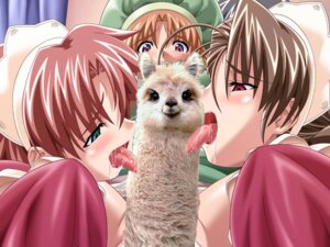 Rating: Explicit Score: 0 Tags: 2girls alpaca censored female female_only licking meme rule34 shitpost tagme User: bunchy7s Rating: Explicit Score: 0 Tags: 2girls alpaca censored female female_only licking meme rule34 shitpost tagme User: bunchy7s